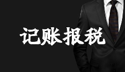 新成立的公司記賬報稅方面有哪些選擇？