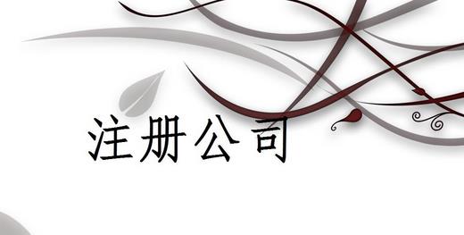 注冊公司為什么推薦找代理注冊公司的機(jī)構(gòu)呢？