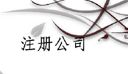 注冊(cè)公司為什么推薦找代理注冊(cè)公司的機(jī)構(gòu)呢？