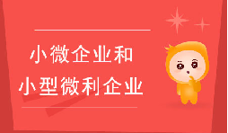 小微企業(yè)和小型微利企業(yè)有什么區(qū)別？